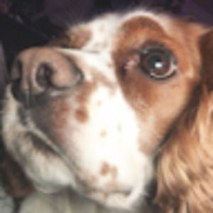 Meet your Posher, Cristina